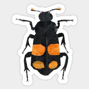 Sexton beetle Sticker